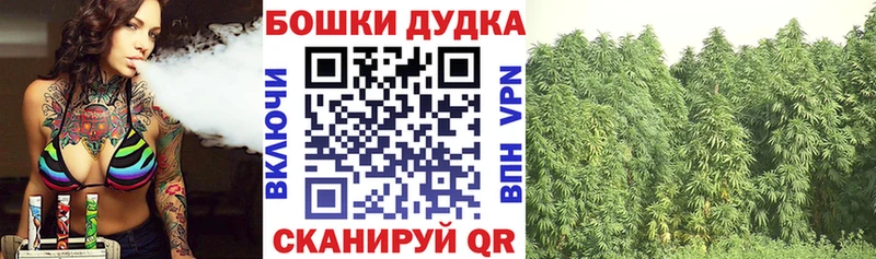 Купить  Бронницы  Канабис Bruce Banner 